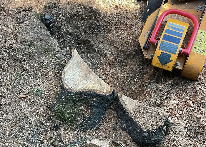 Stump removal
