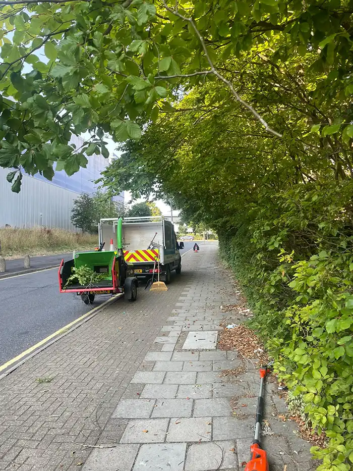 Seasonal Grounds Maintenance Clearing up after tree services