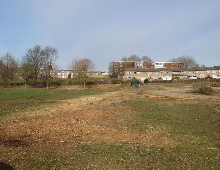 Site Clearance