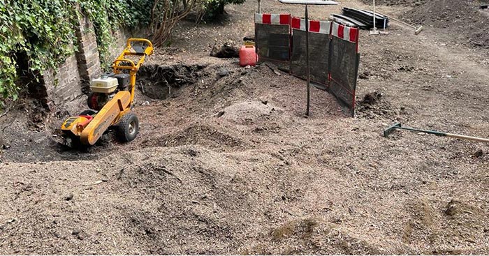 Stump grinding after image