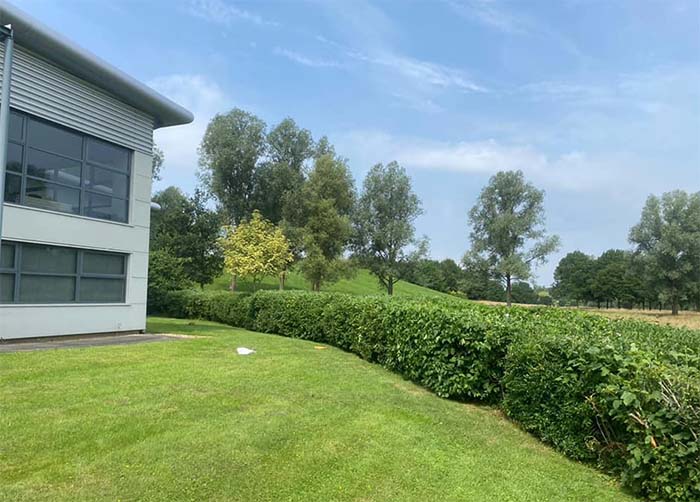 Commercial site clearance and vegetation management