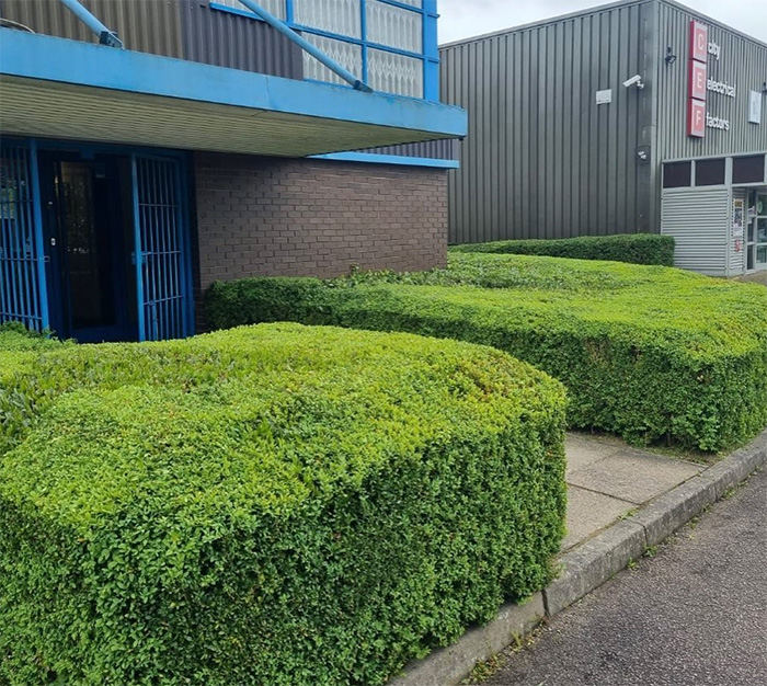 Commercial site clearance and vegetation management