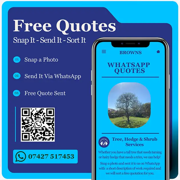 Free quotes