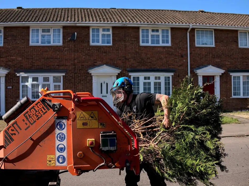 Bird nesting season in the UK, can you cut your hedges? Nesting season work