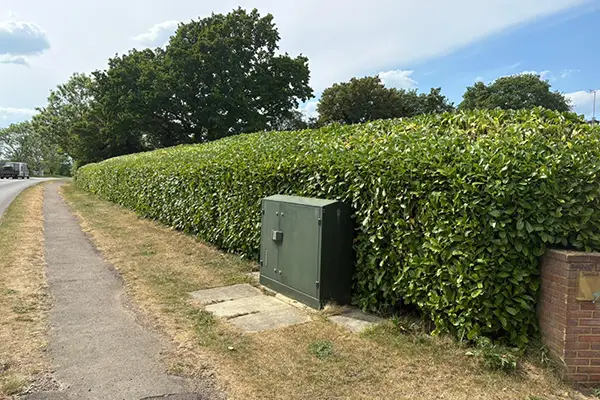 Hedge Cutting In Milton Keynes